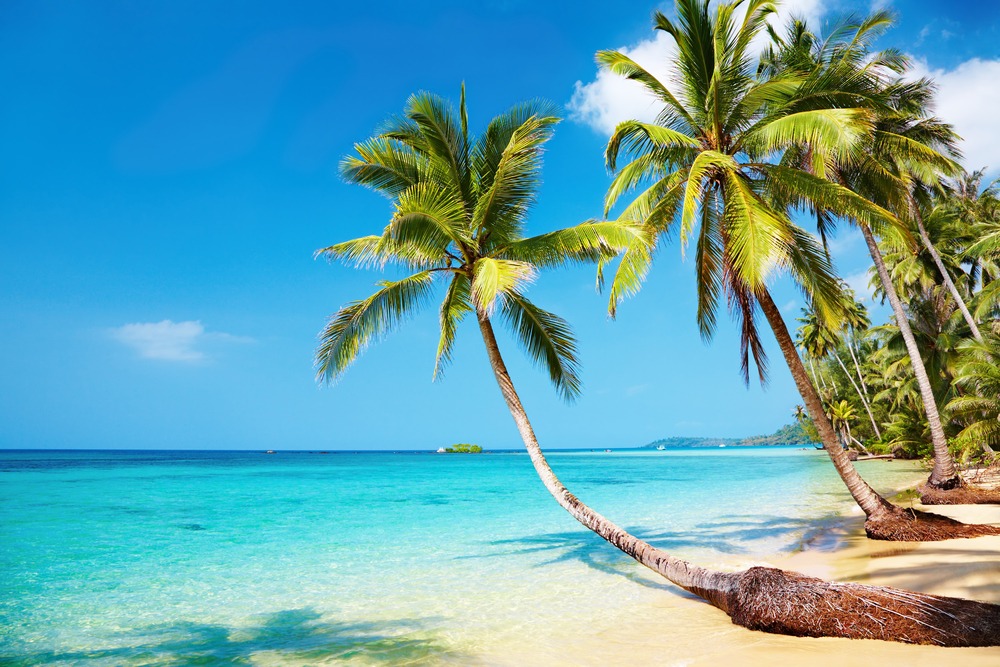 Requisitos para viajar a Punta Cana Guía completa